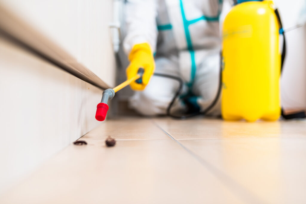 Brenham Cockroach Experts