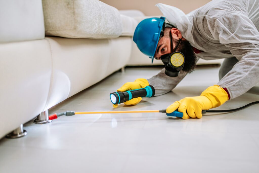 Brenham Termite Control