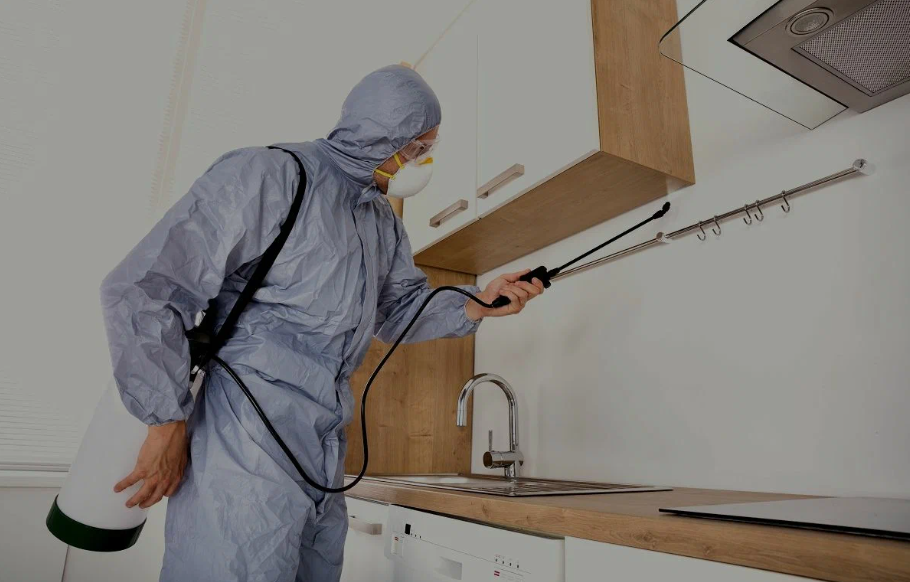Brenham pest managment